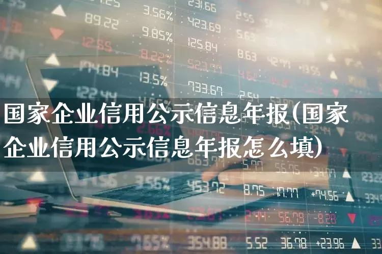 国家企业信用公示信息年报(国家企业信用公示信息年报怎么填)_https://www.fzdzcxj.com_深交所_第1张