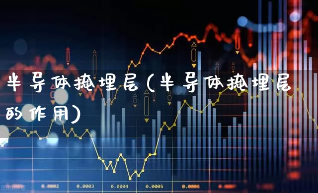 半导体掩埋层(半导体掩埋层的作用)_https://www.fzdzcxj.com_深交所_第1张