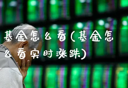 基金怎么看(基金怎么看实时涨跌)_https://www.fzdzcxj.com_北交所_第1张