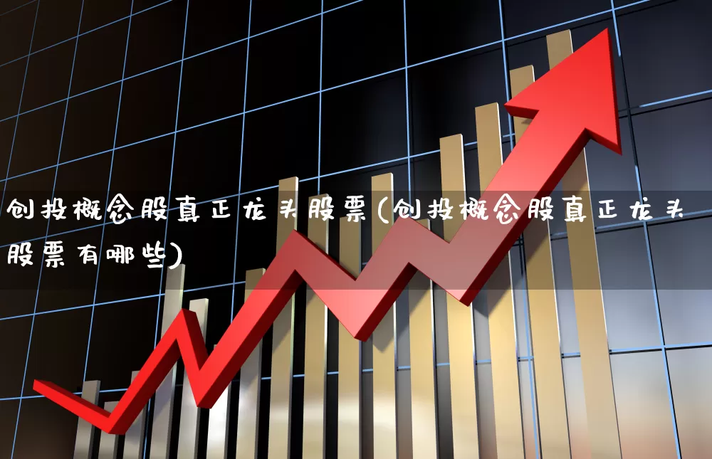 创投概念股真正龙头股票(创投概念股真正龙头股票有哪些)_https://www.fzdzcxj.com_深交所_第1张
