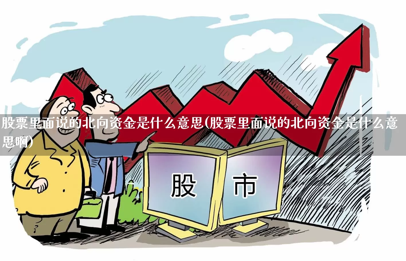 股票里面说的北向资金是什么意思(股票里面说的北向资金是什么意思啊)_https://www.fzdzcxj.com_北交所_第1张