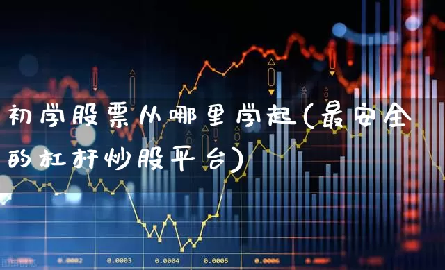 初学股票从哪里学起(最安全的杠杆炒股平台)_https://www.fzdzcxj.com_深交所_第1张