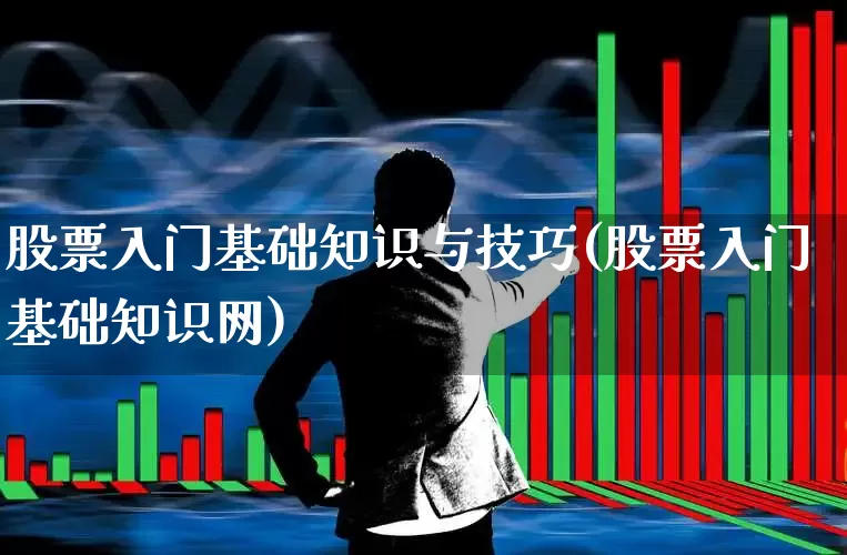 股票入门基础知识与技巧(股票入门基础知识网)_https://www.fzdzcxj.com_北交所_第1张