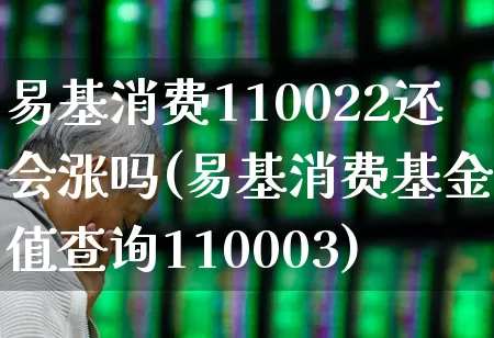 易基消费110022还会涨吗(易基消费基金净值查询110003)_https://www.fzdzcxj.com_北交所_第1张