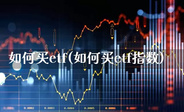 如何买etf(如何买etf指数)_https://www.fzdzcxj.com_科创板_第1张