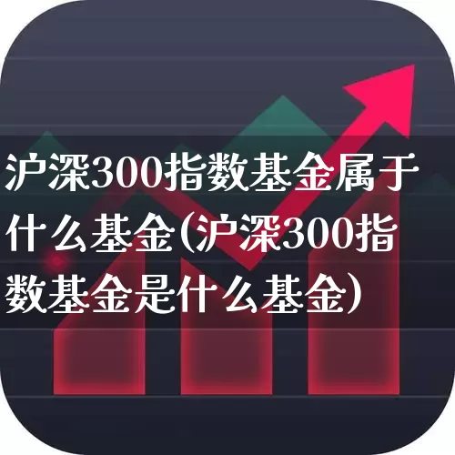 沪深300指数基金属于什么基金(沪深300指数基金是什么基金)_https://www.fzdzcxj.com_上交所_第1张