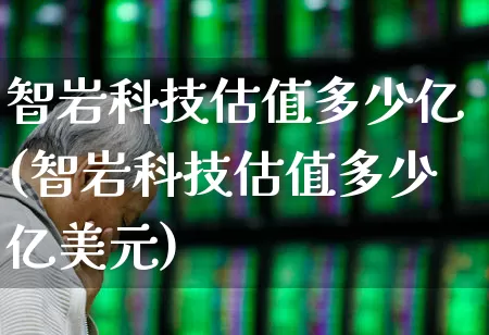 智岩科技估值多少亿(智岩科技估值多少亿美元)_https://www.fzdzcxj.com_北交所_第1张