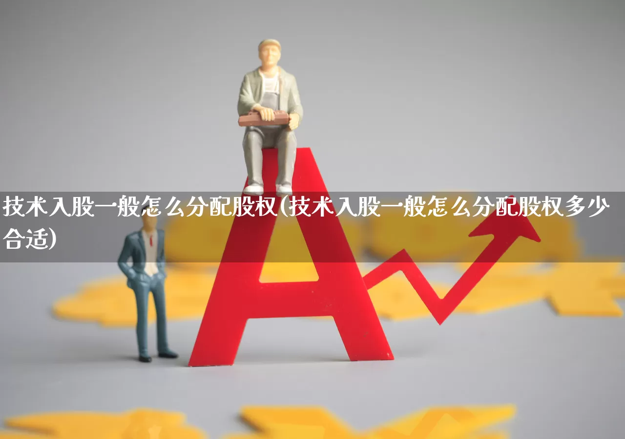 技术入股一般怎么分配股权(技术入股一般怎么分配股权多少合适)_https://www.fzdzcxj.com_北交所_第1张