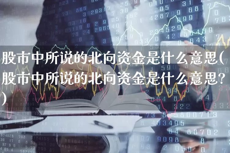 股市中所说的北向资金是什么意思(股市中所说的北向资金是什么意思?)_https://www.fzdzcxj.com_深交所_第1张