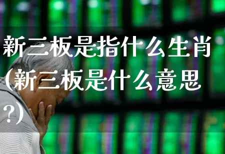 新三板是指什么生肖(新三板是什么意思?)_https://www.fzdzcxj.com_北交所_第1张