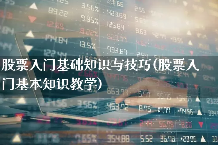 股票入门基础知识与技巧(股票入门基本知识教学)_https://www.fzdzcxj.com_创业板_第1张