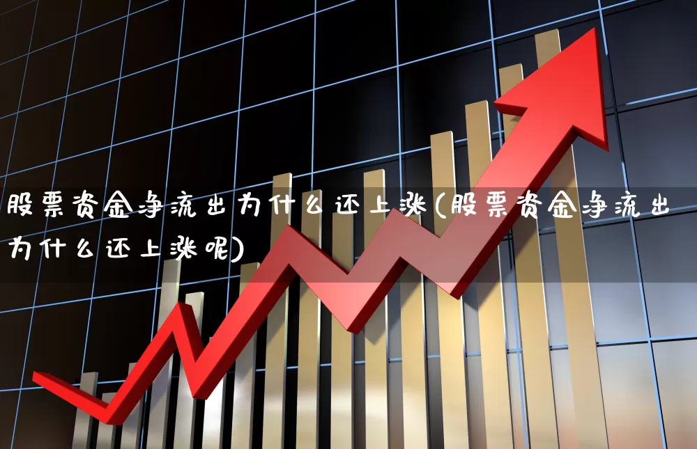 股票资金净流出为什么还上涨(股票资金净流出为什么还上涨呢)_https://www.fzdzcxj.com_创业板_第1张