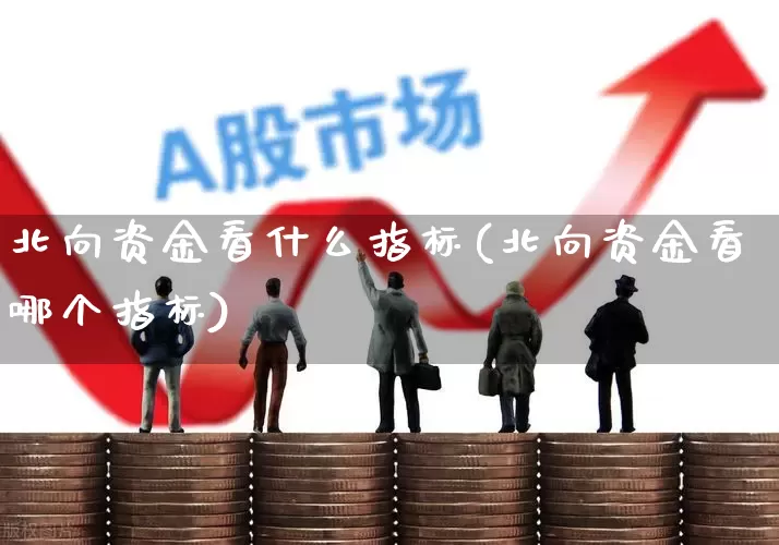 北向资金看什么指标(北向资金看哪个指标)_https://www.fzdzcxj.com_创业板_第1张