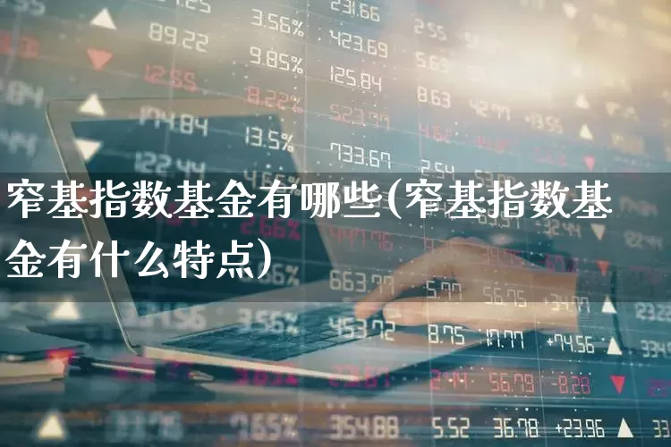 窄基指数基金有哪些(窄基指数基金有什么特点)_https://www.fzdzcxj.com_深交所_第1张