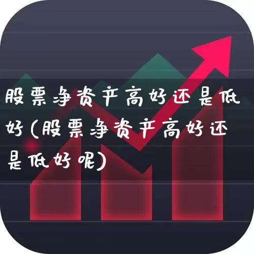 股票净资产高好还是低好(股票净资产高好还是低好呢)_https://www.fzdzcxj.com_上交所_第1张