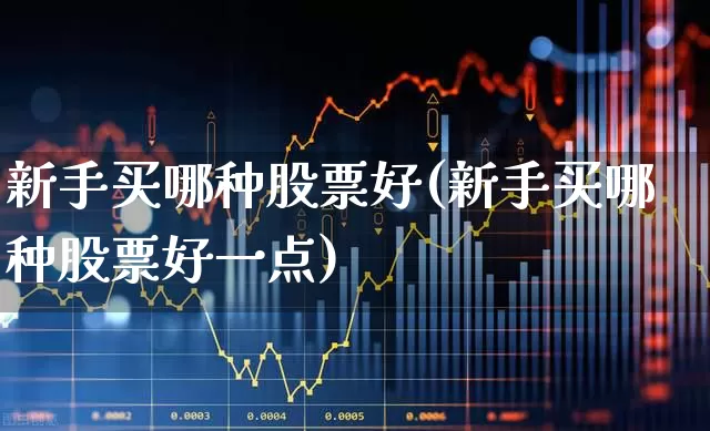 新手买哪种股票好(新手买哪种股票好一点)_https://www.fzdzcxj.com_深交所_第1张