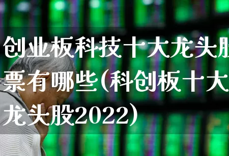 创业板科技十大龙头股票有哪些(科创板十大龙头股2022)_https://www.fzdzcxj.com_北交所_第1张