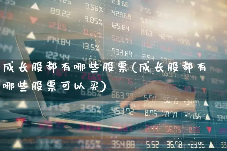 成长股都有哪些股票(成长股都有哪些股票可以买)_https://www.fzdzcxj.com_科创板_第1张