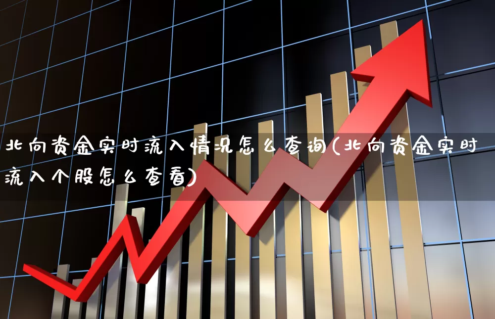 北向资金实时流入情况怎么查询(北向资金实时流入个股怎么查看)_https://www.fzdzcxj.com_深交所_第1张