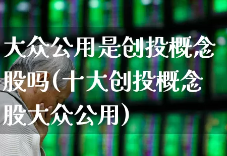 大众公用是创投概念股吗(十大创投概念股大众公用)_https://www.fzdzcxj.com_创业板_第1张