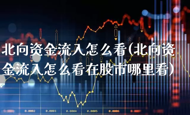 北向资金流入怎么看(北向资金流入怎么看在股市哪里看)_https://www.fzdzcxj.com_北交所_第1张