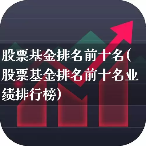股票基金排名前十名(股票基金排名前十名业绩排行榜)_https://www.fzdzcxj.com_北交所_第1张