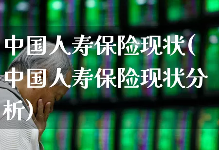 中国人寿保险现状(中国人寿保险现状分析)_https://www.fzdzcxj.com_深交所_第1张