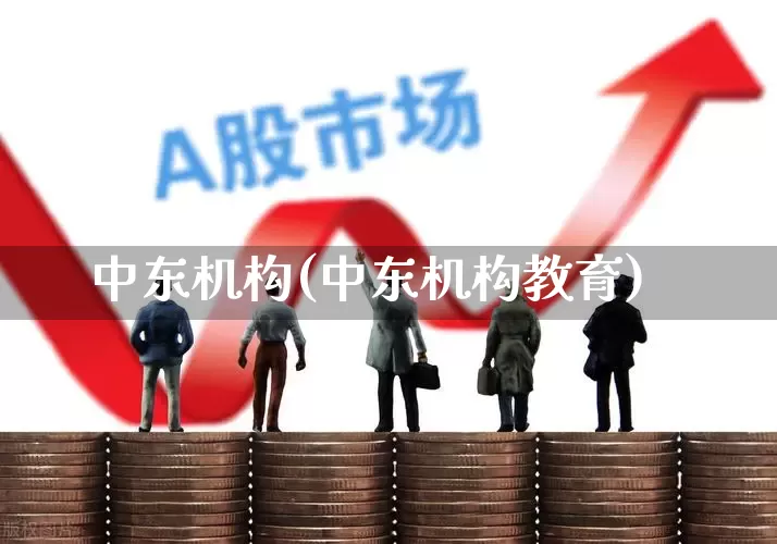 中东机构(中东机构教育)_https://www.fzdzcxj.com_科创板_第1张