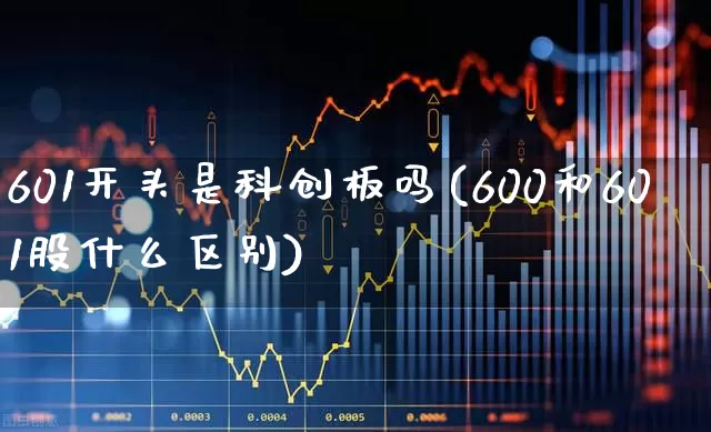 601开头是科创板吗(600和601股什么区别)_https://www.fzdzcxj.com_上交所_第1张