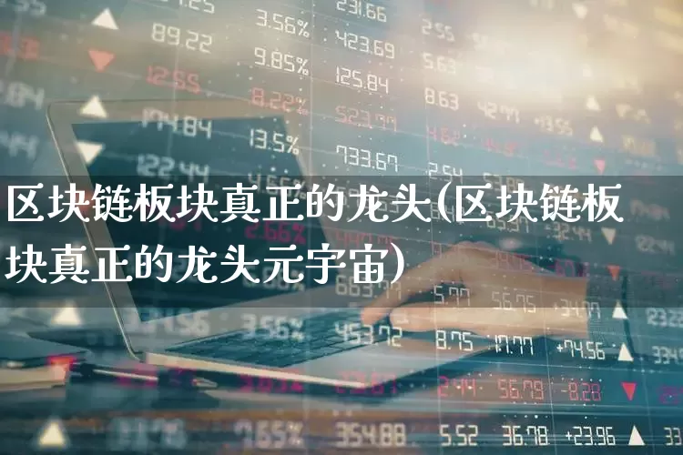 区块链板块真正的龙头(区块链板块真正的龙头元宇宙)_https://www.fzdzcxj.com_创业板_第1张