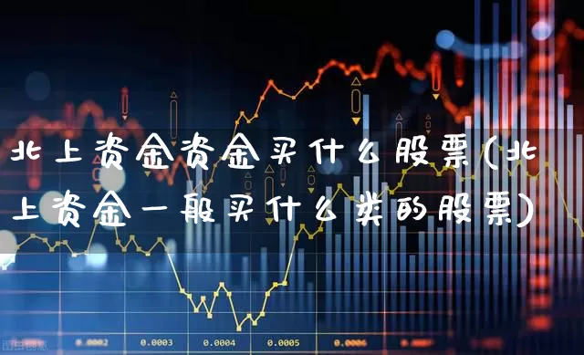 北上资金资金买什么股票(北上资金一般买什么类的股票)_https://www.fzdzcxj.com_北交所_第1张