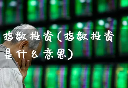 指数投资(指数投资是什么意思)_https://www.fzdzcxj.com_深交所_第1张