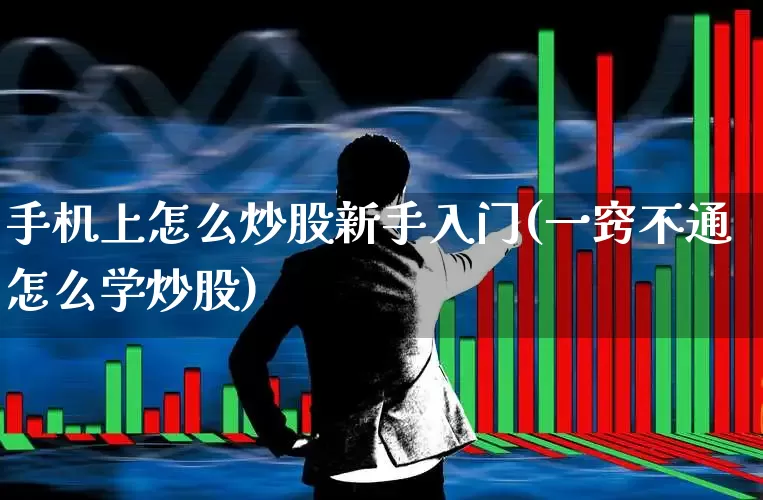 手机上怎么炒股新手入门(一窍不通怎么学炒股)_https://www.fzdzcxj.com_创业板_第1张