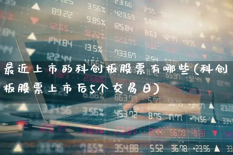 最近上市的科创板股票有哪些(科创板股票上市后5个交易日)_https://www.fzdzcxj.com_上交所_第1张