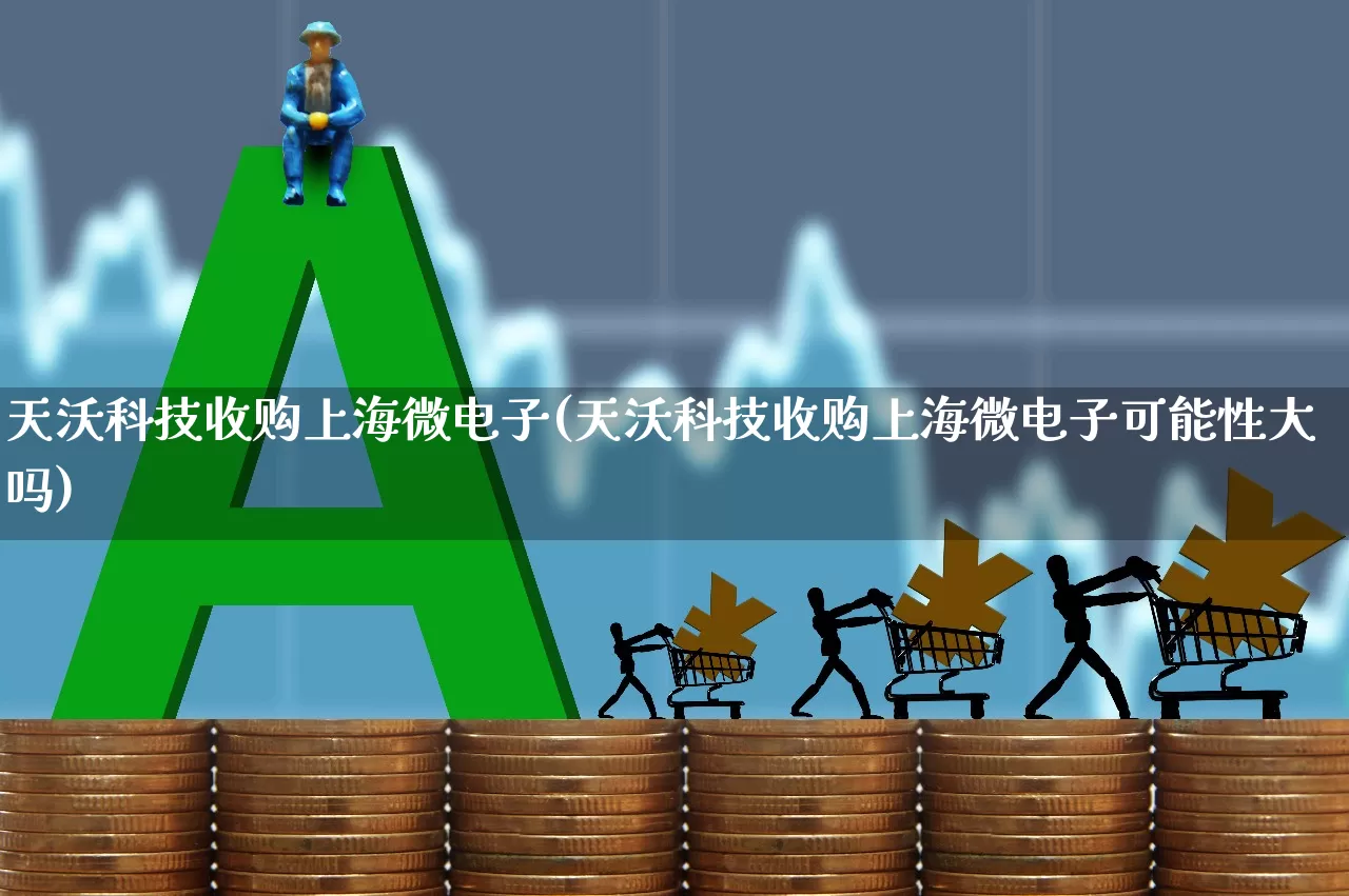天沃科技收购上海微电子(天沃科技收购上海微电子可能性大吗)_https://www.fzdzcxj.com_上交所_第1张