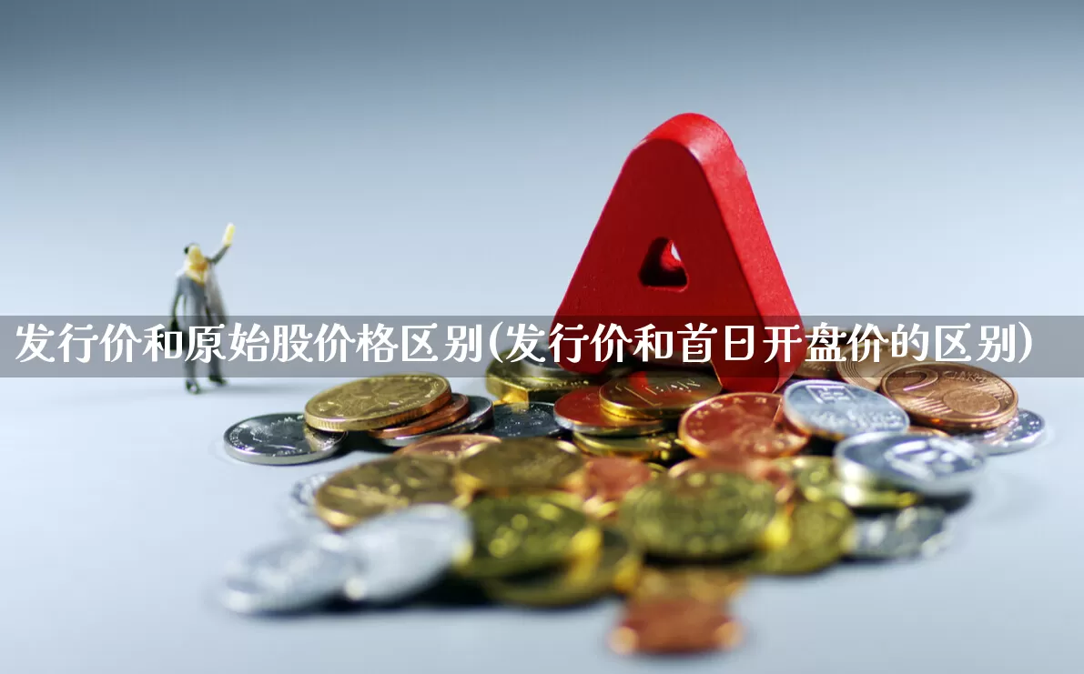 发行价和原始股价格区别(发行价和首日开盘价的区别)_https://www.fzdzcxj.com_深交所_第1张