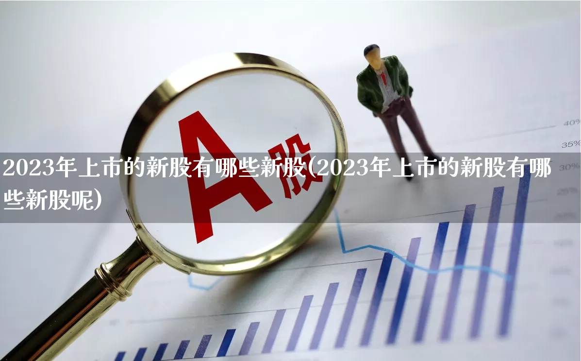 2023年上市的新股有哪些新股(2023年上市的新股有哪些新股呢)_https://www.fzdzcxj.com_创业板_第1张