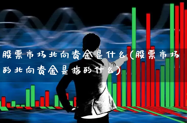 股票市场北向资金是什么(股票市场的北向资金是指的什么)_https://www.fzdzcxj.com_北交所_第1张