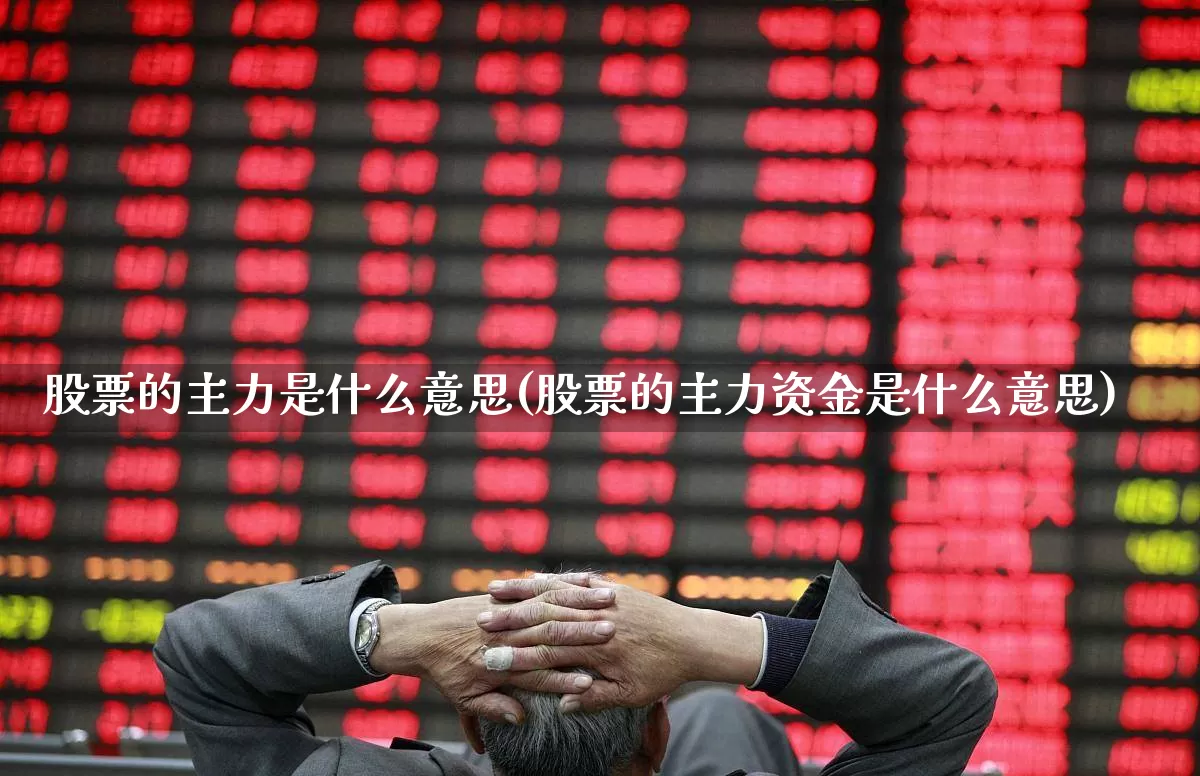 股票的主力是什么意思(股票的主力资金是什么意思)_https://www.fzdzcxj.com_创业板_第1张