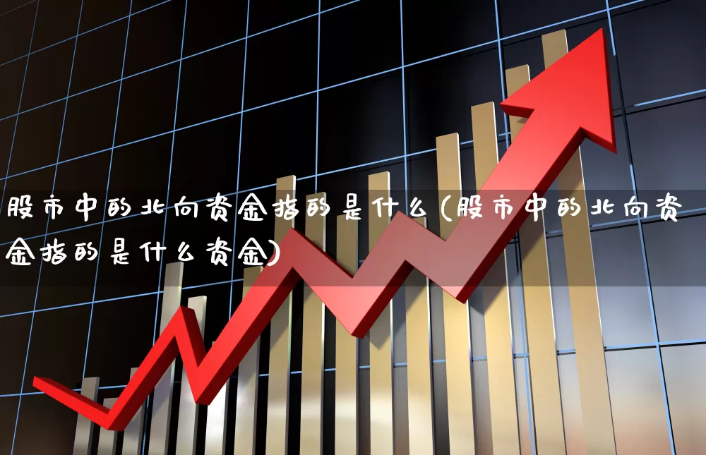 股市中的北向资金指的是什么(股市中的北向资金指的是什么资金)_https://www.fzdzcxj.com_创业板_第1张