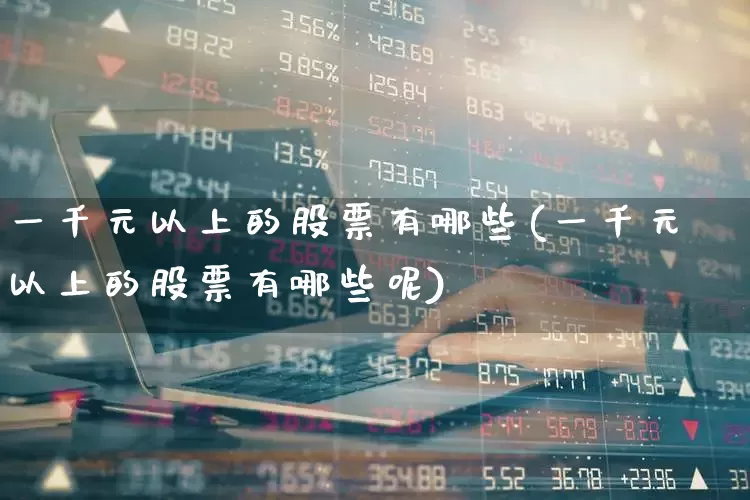 一千元以上的股票有哪些(一千元以上的股票有哪些呢)_https://www.fzdzcxj.com_创业板_第1张