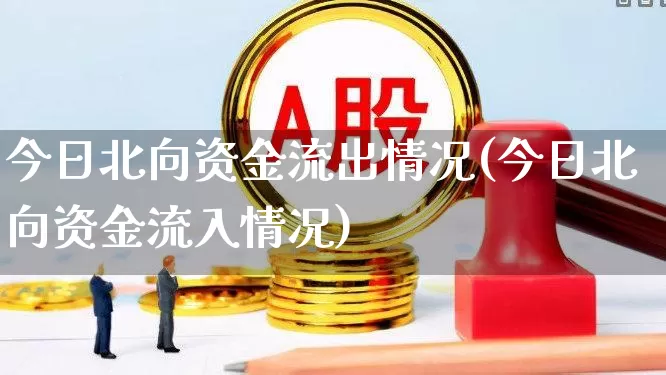 今日北向资金流出情况(今日北向资金流入情况)_https://www.fzdzcxj.com_深交所_第1张