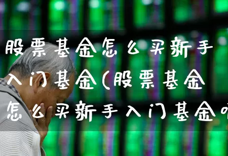 股票基金怎么买新手入门基金(股票基金怎么买新手入门基金呢)_https://www.fzdzcxj.com_深交所_第1张