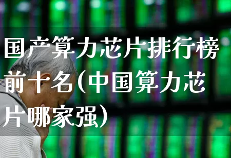 国产算力芯片排行榜前十名(中国算力芯片哪家强)_https://www.fzdzcxj.com_北交所_第1张