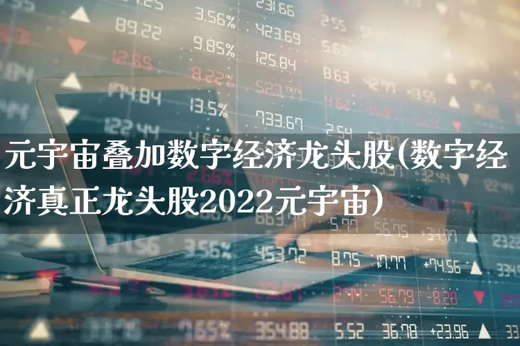 元宇宙叠加数字经济龙头股(数字经济真正龙头股2022元宇宙)_https://www.fzdzcxj.com_上交所_第1张