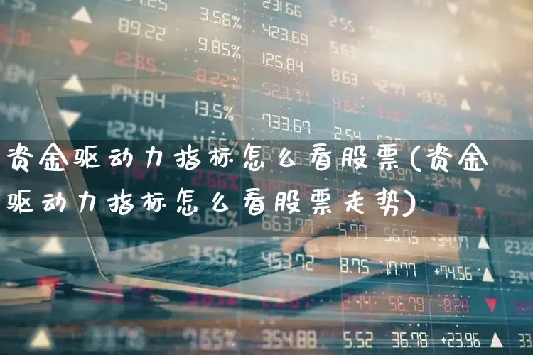 资金驱动力指标怎么看股票(资金驱动力指标怎么看股票走势)_https://www.fzdzcxj.com_深交所_第1张