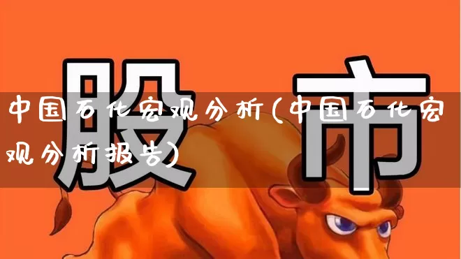 中国石化宏观分析(中国石化宏观分析报告)_https://www.fzdzcxj.com_科创板_第1张