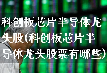 科创板芯片半导体龙头股(科创板芯片半导体龙头股票有哪些)_https://www.fzdzcxj.com_深交所_第1张