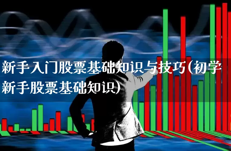 新手入门股票基础知识与技巧(初学新手股票基础知识)_https://www.fzdzcxj.com_深交所_第1张