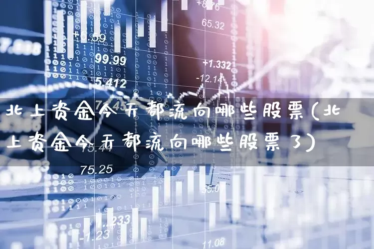 北上资金今天都流向哪些股票(北上资金今天都流向哪些股票了)_https://www.fzdzcxj.com_深交所_第1张